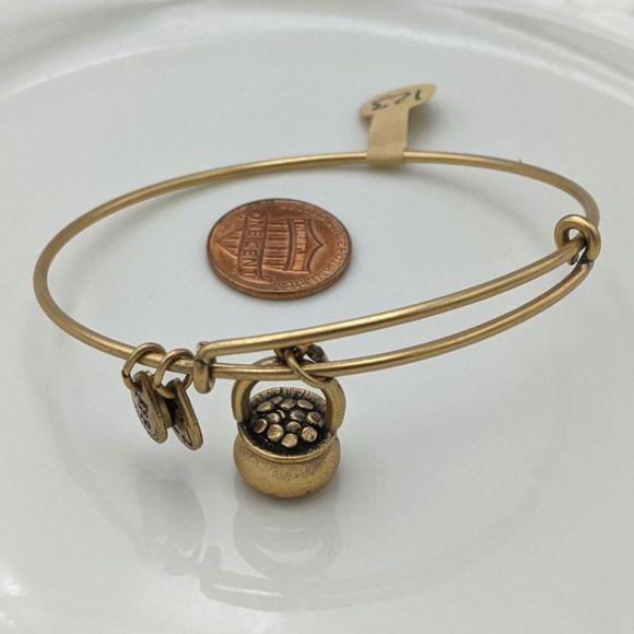 Alex and Ani Rafaleian Gold Pot of Gold NWOT Rare!